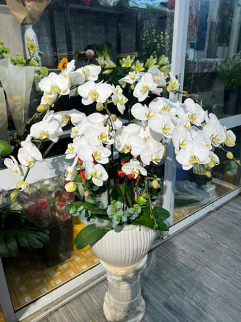 Shop Hoa Tươi Xã Dray Bhăng Đắk Lắk Giao Hoa Tươi Hoả Tốc