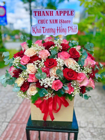 Shop Hoa Tươi Xã Thạnh Lợi Tây Ninh Dịch Vụ Hoa Tươi Theo Yêu Cầu