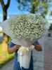 shop-hoa-tuoi-phuong-hoa-thanh-tay-ninh-dien-hoa-tuoi-gia-re - ảnh nhỏ  1