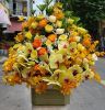 hop-hoa-gio-hoa-38 - ảnh nhỏ  1