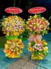 shop-hoa-tuoi-xa-xuan-dinh-dong-nai-dich-vu-giao-hoa-tuoi-hoa-toc - ảnh nhỏ  1