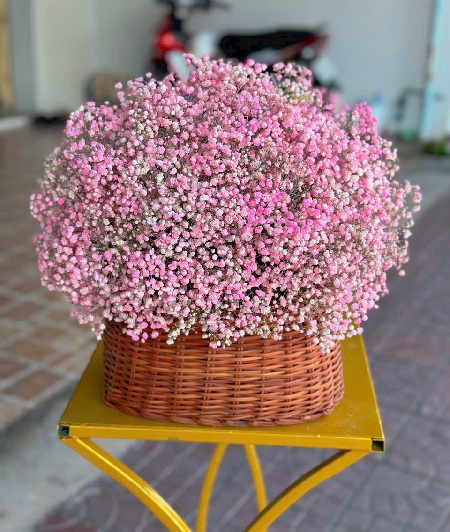 Hôp Hoa - Giỏ Hoa (50)