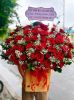 shop-hoa-tuoi-phuong-an-khanh-tphcm-khuyen-mai-khi-dat-mua-tai-website - ảnh nhỏ  1