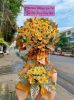 shop-hoa-tuoi-phuong-go-cong-dong-thap-uu-dai-khi-mua-theo-su-kien - ảnh nhỏ  1