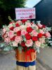 shop-hoa-tuoi-xa-luong-hoa-lac-dong-thap-tho-cam-hoa-ti-mi - ảnh nhỏ  1