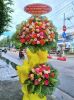 shop-hoa-tuoi-phuong-long-phu-an-giang-cung-cap-hoa-theo-nhu-cau - ảnh nhỏ  1