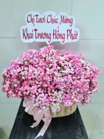 Shop Hoa Tươi Xã Kiên Lương An Giang Thiết Kế Hoa Nhanh