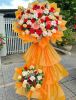 hoa-khai-truong-3 - ảnh nhỏ  1