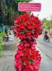 shop-hoa-tuoi-xa-ham-tan-lam-dong-dich-vu-dien-hoa-uy-tin-ship-nhanh - ảnh nhỏ  1