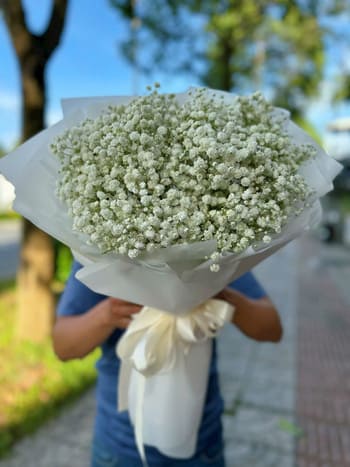 Shop Hoa Tươi Xã Hoằng Châu Thanh Hóa Miễn Phí Giao Hoa Nhanh
