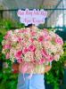 shop-hoa-tuoi-xa-tho-ngoc-thanh-hoa-cung-cap-hoa-tuoi-theo-nhu-cau - ảnh nhỏ  1