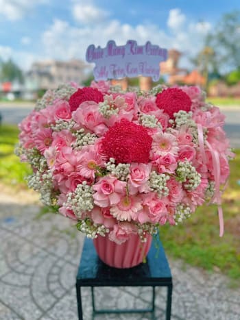 Shop Hoa Tươi Xã Tam Lư Thanh Hóa Miễn Phí Ship Hoa 90 Phút