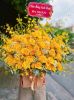 shop-hoa-tuoi-xa-le-thuy-quang-tri-nhan-vien-tu-van-nhanh - ảnh nhỏ  1
