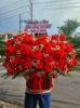 shop-hoa-tuoi-xa-muong-pon-dien-bien-mien-phi-giao-hoa-tuoi-90-phut - ảnh nhỏ  1