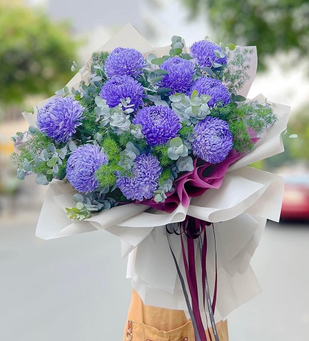 Hoa Cúc Mẫu Đơn (6)
