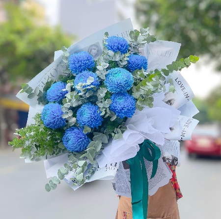 Hoa Cúc Mẫu Đơn (8)