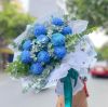 hoa-cuc-mau-don-8 - ảnh nhỏ  1