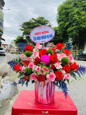 Shop Hoa Tươi Xã Tân Trào Tuyên Quang Giao Hoa Tận Nơi