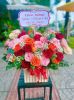shop-hoa-tuoi-phuong-tran-lam-hung-yen-thiet-ke-hoa-tuoi-nhanh-chong - ảnh nhỏ  1
