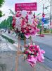 shop-hoa-tuoi-phuong-chuong-my-ha-noi-cam-hoa-tuoi-nhanh - ảnh nhỏ  1