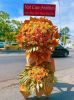 shop-hoa-tuoi-xa-dan-phuong-ha-noi-giao-hoa-nhanh-chong - ảnh nhỏ  1