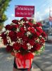 shop-hoa-tuoi-phuong-kien-an-hai-phong-khuyen-mai-khi-dat-mua-so-luong - ảnh nhỏ  1