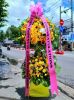 shop-hoa-tuoi-xa-an-thanh-hai-phong-mien-phi-ship-hoa-90-phut - ảnh nhỏ  1