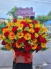 shop-hoa-tuoi-xa-thang-phu-da-nang-freeship-nhanh-chong - ảnh nhỏ  1