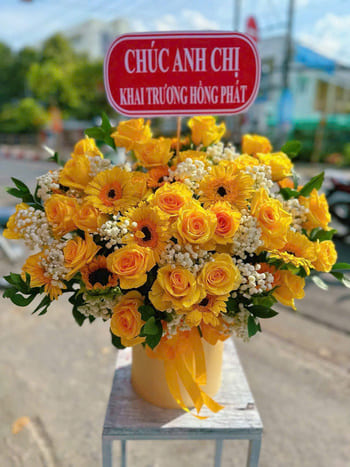 Shop Hoa Tươi Xã Bác Ái Đông Khánh Hòa Miễn Phí Ship 90 Phút